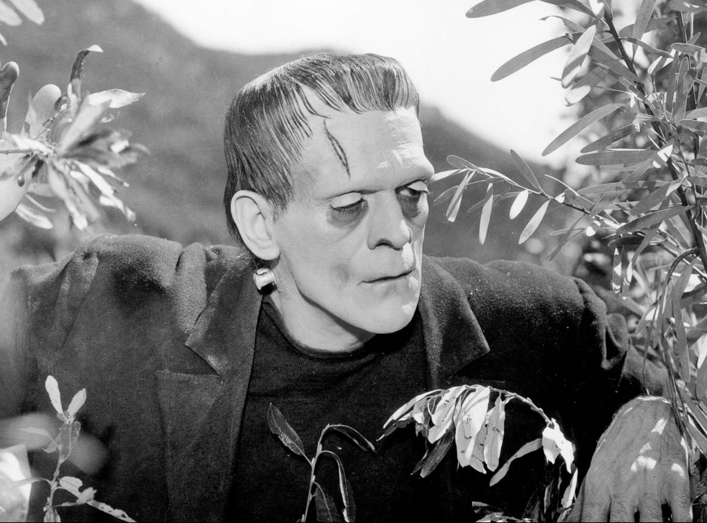 Frankenstein: il capolavoro Netflix di Guillermo del Toro. L'incredibile 3ª vita della Creatura 3 Frankenstein nella Storia